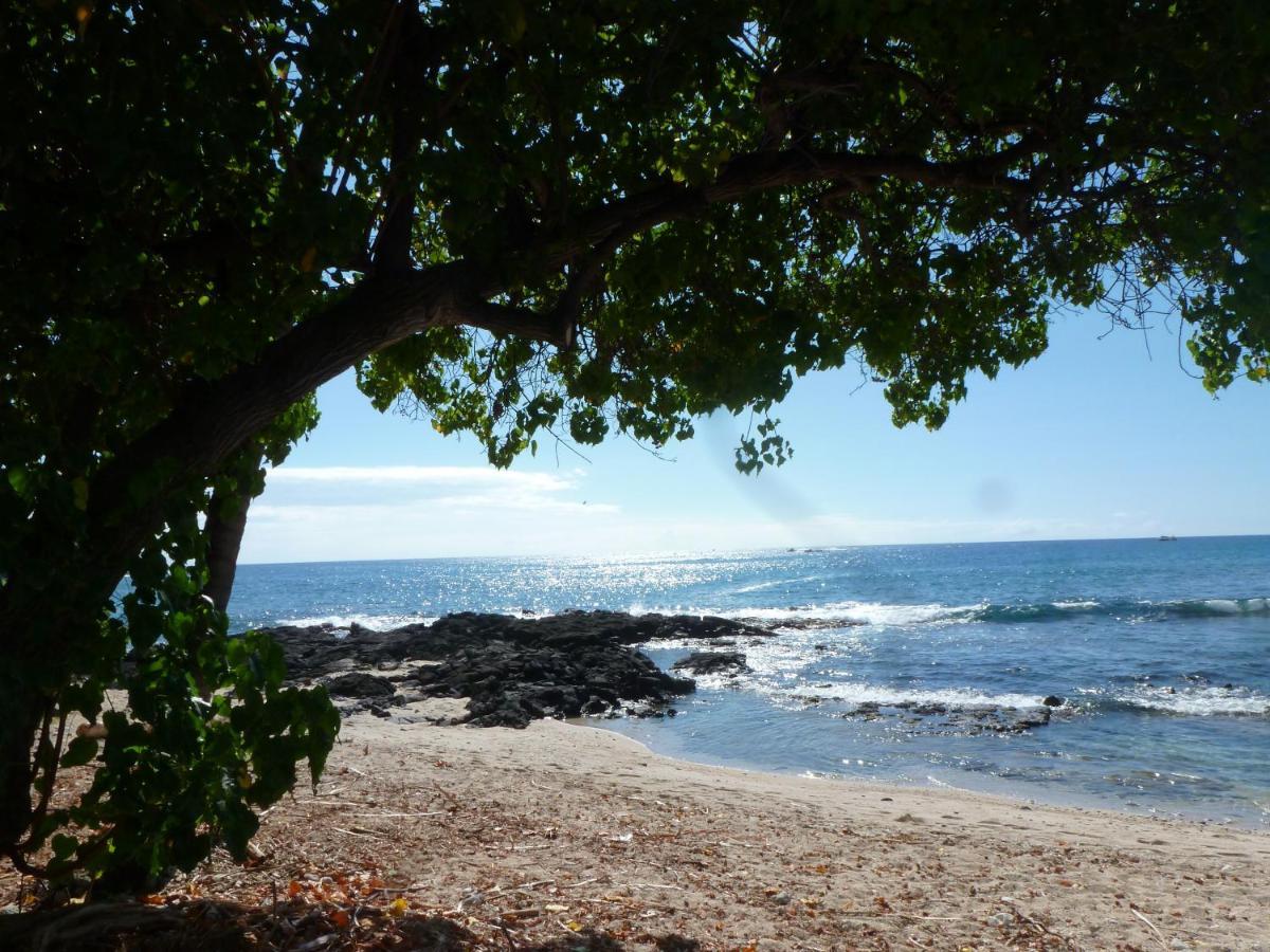 Downtown Hawaiian Paradise Condo With Hot Tub, Pool & Beach - Kona Islander Inn Kailua-Kona Esterno foto